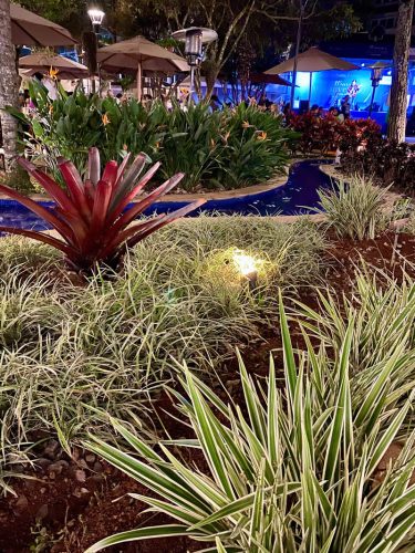 ecojardinagem-servicos-jardinagem-paisagismo1