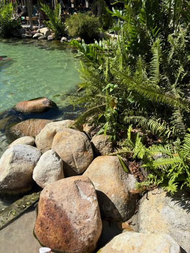 ecojardinagem-servicos-jardinagem-paisagismo10