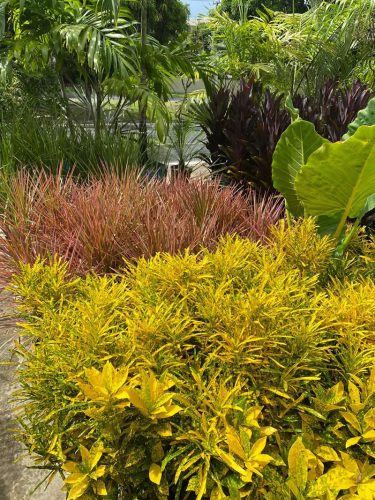 ecojardinagem-servicos-jardinagem-paisagismo2