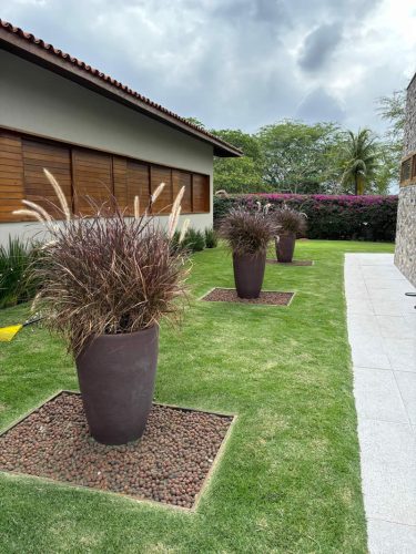 ecojardinagem-servicos-jardinagem-paisagismo6