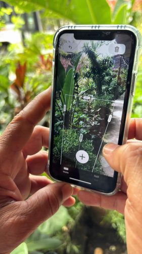 ecojardinagem-servicos-jardinagem-paisagismo8