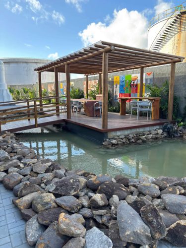 ecojardinagem-servicos-jardinagem2