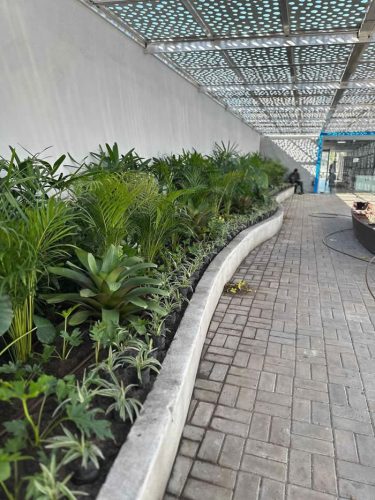 ecojardinagem-servicos-jardinagem6